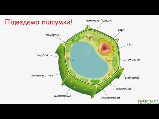 Підведемо підсумки!