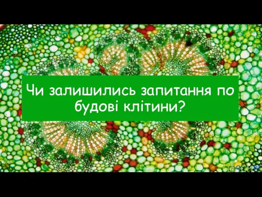 Чи залишились запитання по будові клітини?