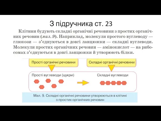 З підручника ст. 23