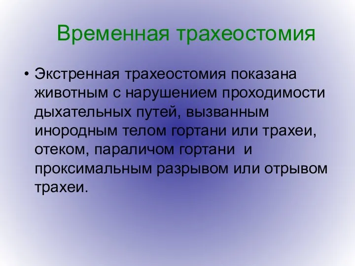 Временная трахеостомия Экстренная трахеостомия показана животным с нарушением проходимости дыхательных путей, вызванным