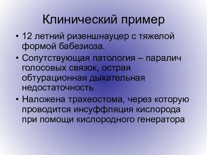 Клинический пример 12 летний ризеншнауцер с тяжелой формой бабезиоза. Сопутствующая патология –