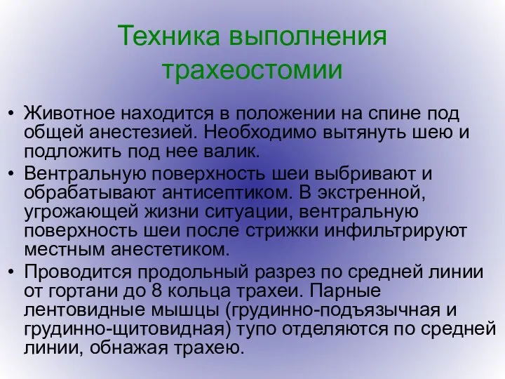 Техника выполнения трахеостомии Животное находится в положении на спине под общей анестезией.