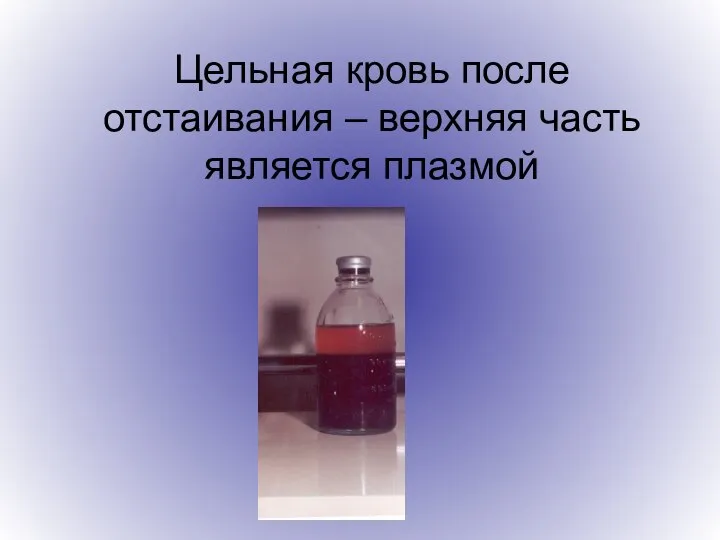 Цельная кровь после отстаивания – верхняя часть является плазмой