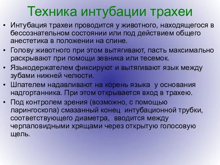 Техника интубации трахеи Интубация трахеи проводится у животного, находящегося в бессознательном состоянии