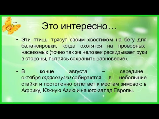 Это интересно… Эти птицы трясут своим хвостиком на бегу для балансировки, когда