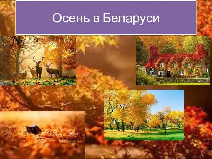 Осень в Беларуси