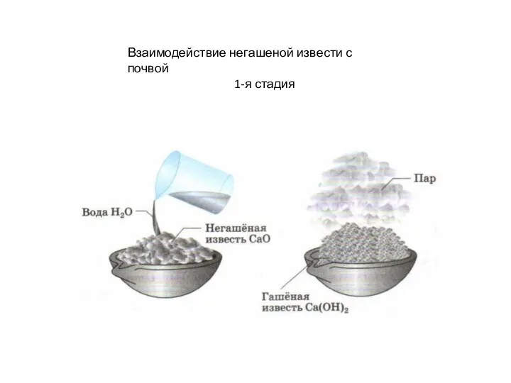 Взаимодействие негашеной извести с почвой 1-я стадия