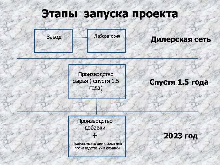 Этапы запуска проекта Завод Лаборатория Производство сырья ( спустя 1.5 года) Производство