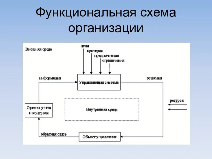 Функциональная схема организации