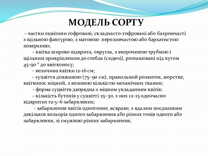 МОДЕЛЬ СОРТУ - частки оцвітини гофровані, складчасто-гофровані або бахромчасті з щільною фактурою,