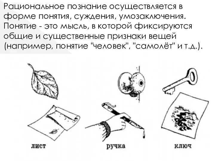 Рациональное познание осуществляется в форме понятия, суждения, умозаключения. Понятие - это мысль,