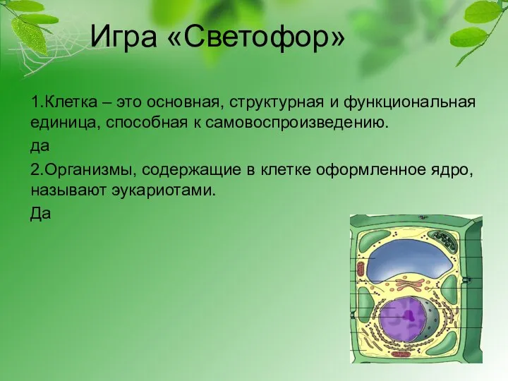 Игра «Светофор» 1.Клетка – это основная, структурная и функциональная единица, способная к