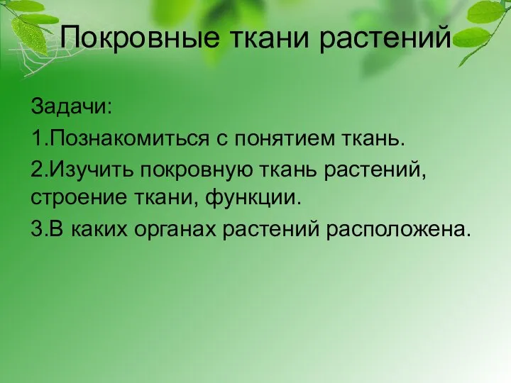 Покровные ткани растений Задачи: 1.Познакомиться с понятием ткань. 2.Изучить покровную ткань растений,