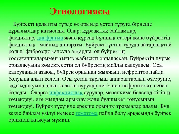 Бүйректі қалыпты түрде өз орында ұстап тұруға бірнеше құрылымдар қатысады. Олар: құрсақтық