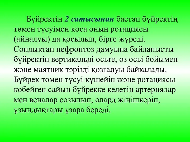 Бүйректің 2 сатысынан бастап бүйректің төмен түсуімен қоса оның ротациясы (айналуы) да