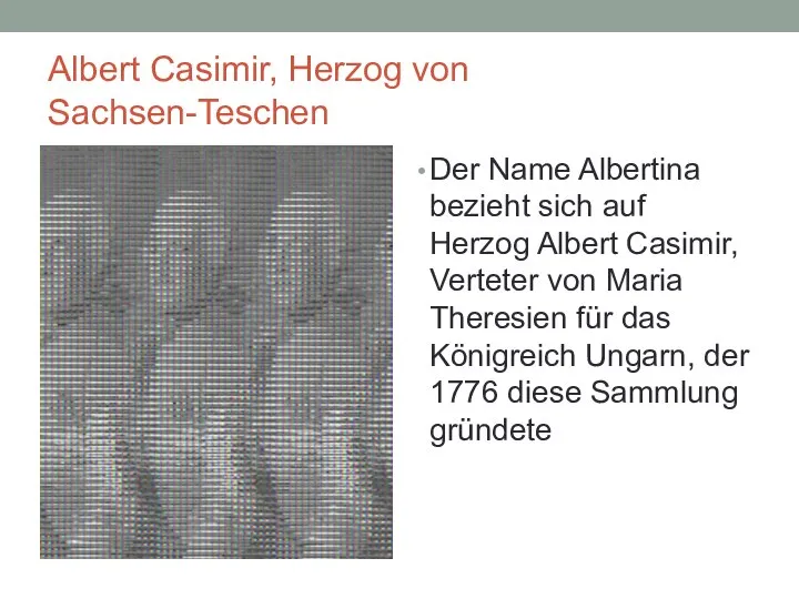 Albert Casimir, Herzog von Sachsen-Teschen Der Name Albertina bezieht sich auf Herzog