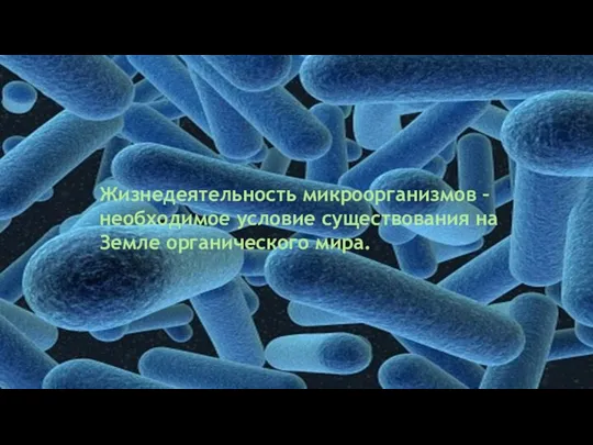 Жизнедеятельность микроорганизмов – необходимое условие существования на Земле органического мира.