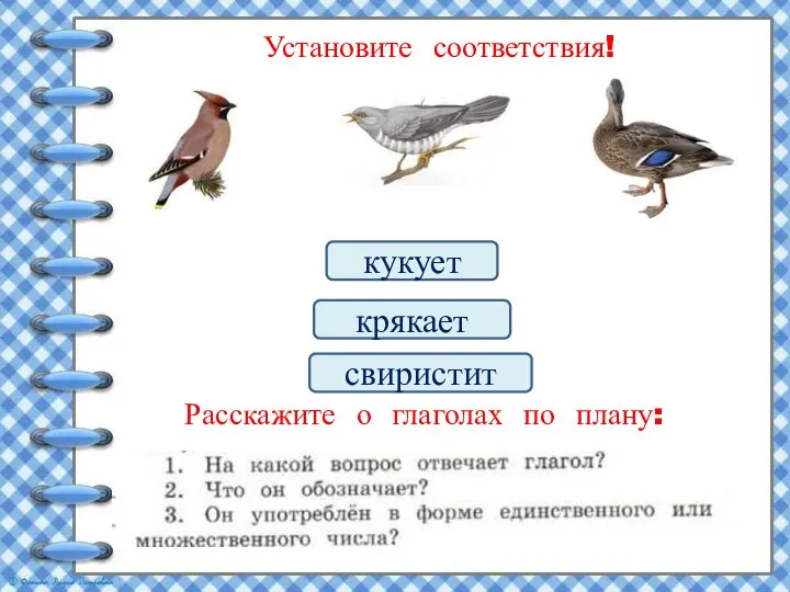 Установите соответствия! крякает кукует свиристит Расскажите о глаголах по плану: