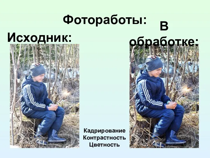 Фотоработы: Исходник: В обработке: Кадрирование Контрастность Цветность