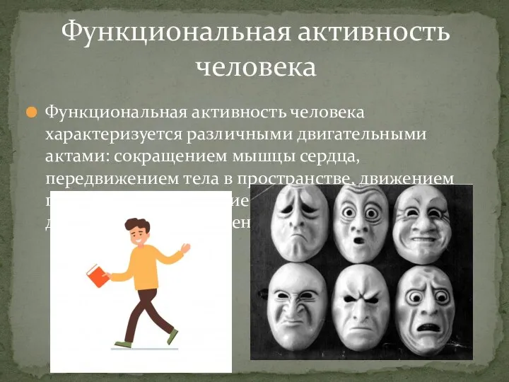 Функциональная активность человека характеризуется различными двигательными актами: сокращением мышцы сердца, передвижением тела