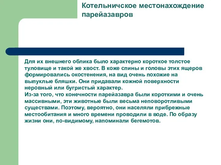 Для их внешнего облика было характерно короткое толстое туловище и такой же