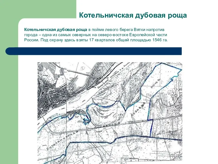 Котельничская дубовая роща Котельничская дубовая роща в пойме левого берега Вятки напротив