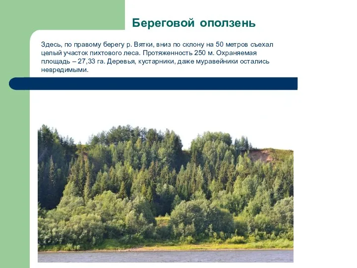 Береговой оползень Здесь, по правому берегу р. Вятки, вниз по склону на