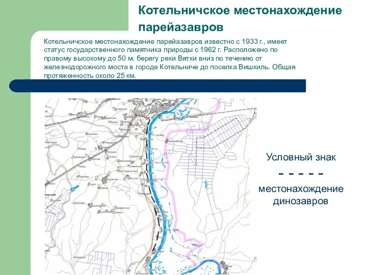 Котельничское местонахождение парейазавров Котельничское местонахождение парейазавров известно с 1933 г., имеет статус