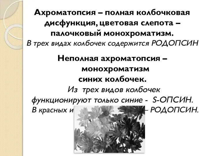 Ахроматопсия – полная колбочковая дисфункция, цветовая слепота – палочковый монохроматизм. В трех