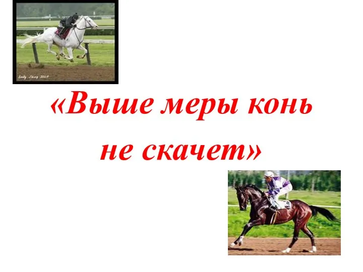 «Выше меры конь не скачет»