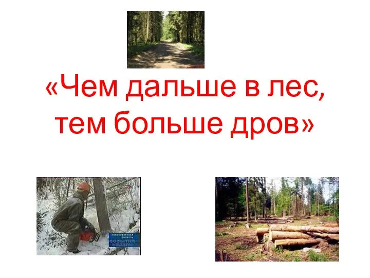 «Чем дальше в лес, тем больше дров»
