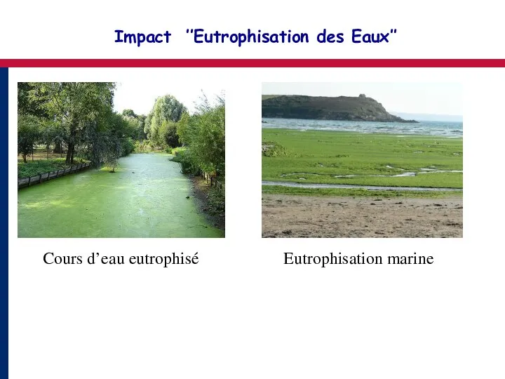 Cours d’eau eutrophisé Impact ’’Eutrophisation des Eaux’’ Eutrophisation marine