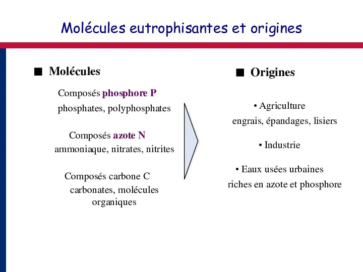 Molécules eutrophisantes et origines ■ Molécules ■ Origines Composés phosphore P phosphates,