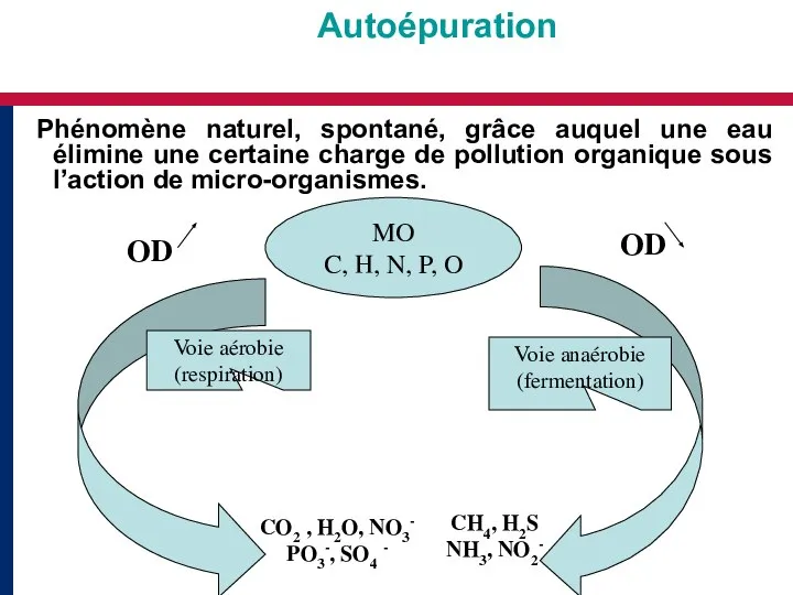 Autoépuration Phénomène naturel, spontané, grâce auquel une eau élimine une certaine charge