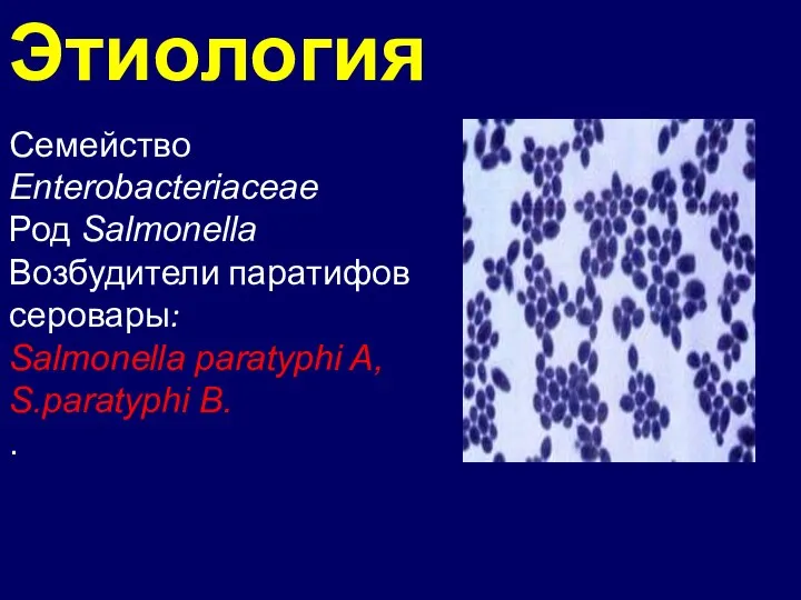 Этиология Семейство Enterobacteriaceae Род Salmonella Возбудители паратифов серовары: Salmonella paratyphi A, S.paratyphi B. .