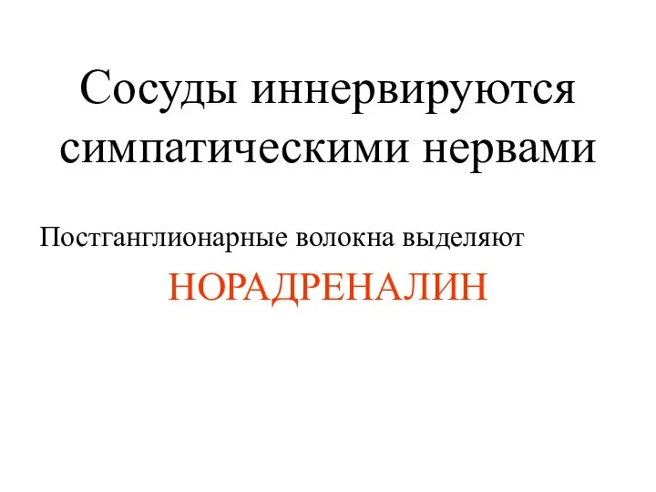 Сосуды иннервируются симпатическими нервами Постганглионарные волокна выделяют НОРАДРЕНАЛИН