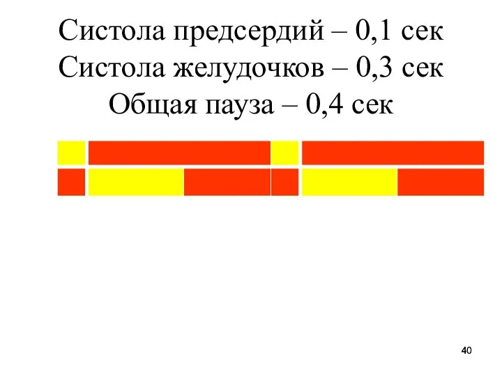 Систола предсердий – 0,1 сек Систола желудочков – 0,3 сек Общая пауза