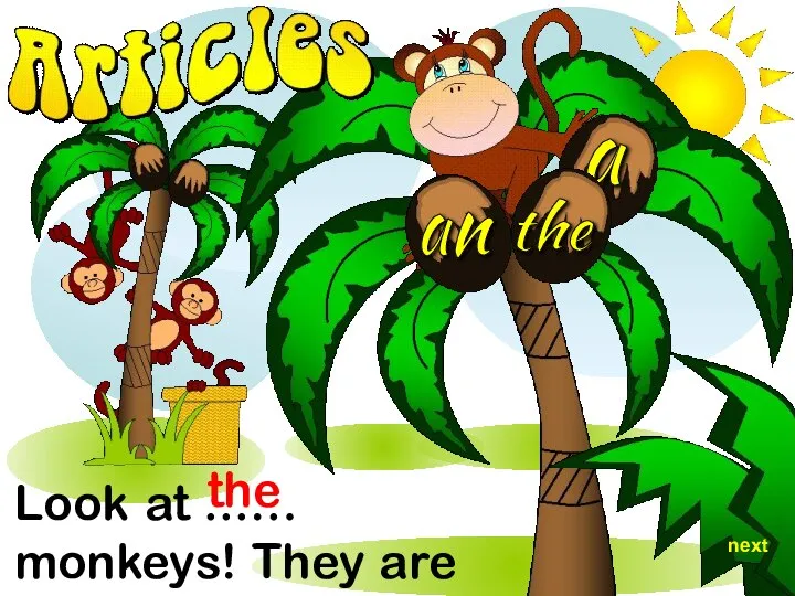 Look at ...… monkeys! They are playing. the next an a the