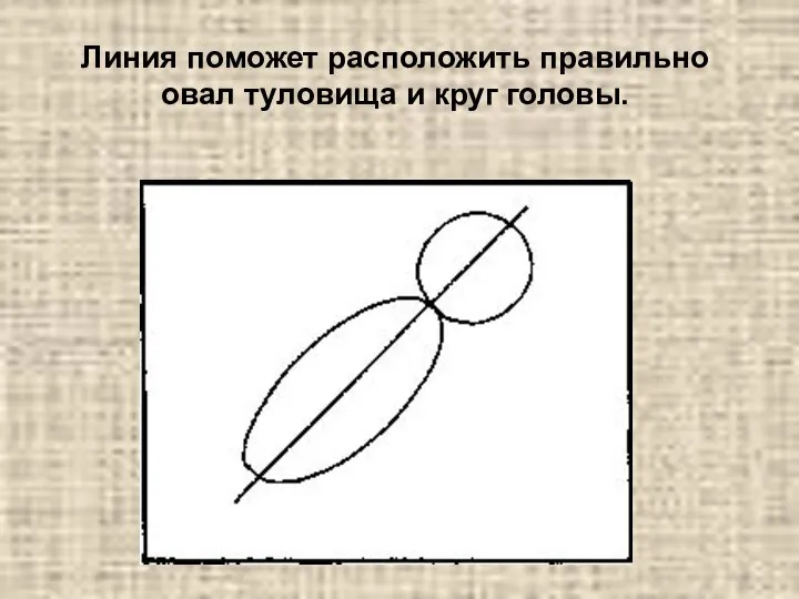 Линия поможет расположить правильно овал туловища и круг головы.