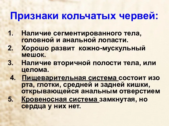 Признаки кольчатых червей: Наличие сегментированного тела, головной и анальной лопасти. Хорошо развит