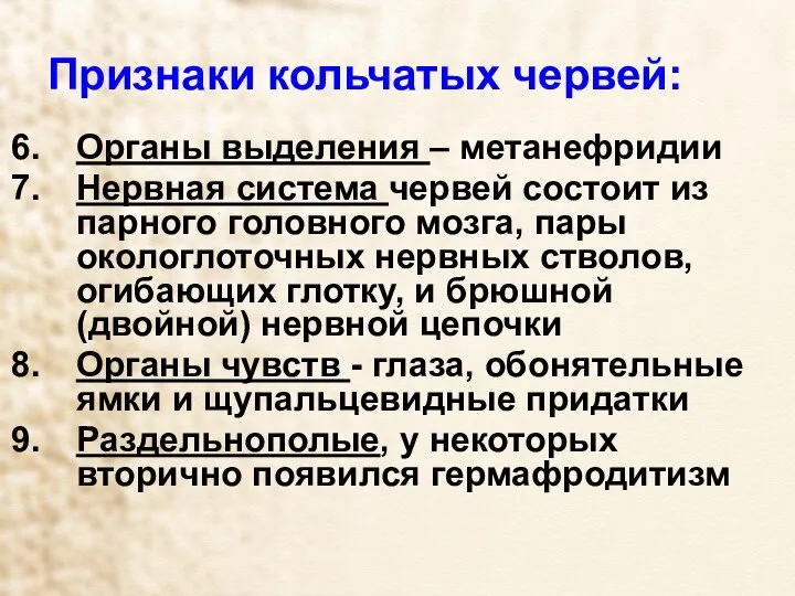 Признаки кольчатых червей: Органы выделения – метанефридии Нервная система червей состоит из