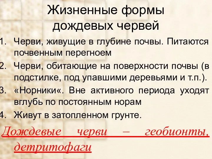 Жизненные формы дождевых червей Черви, живущие в глубине почвы. Питаются почвенным перегноем