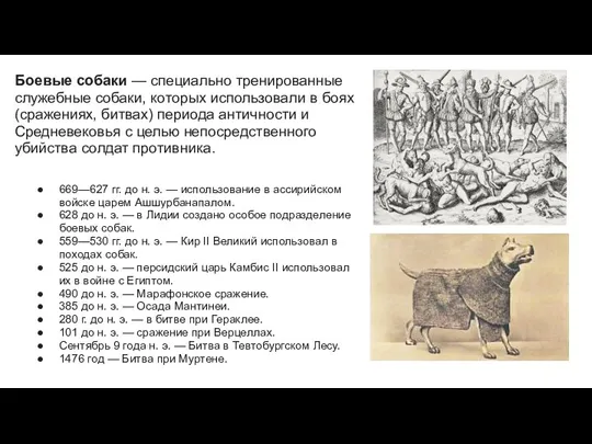 Боевые собаки — специально тренированные служебные собаки, которых использовали в боях (сражениях,