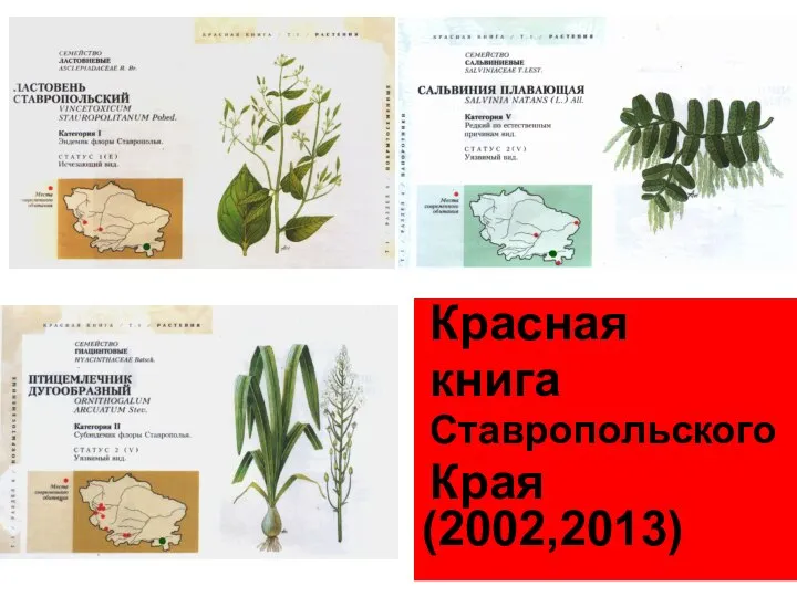 Красная книга Ставропольского Края (2002,2013)