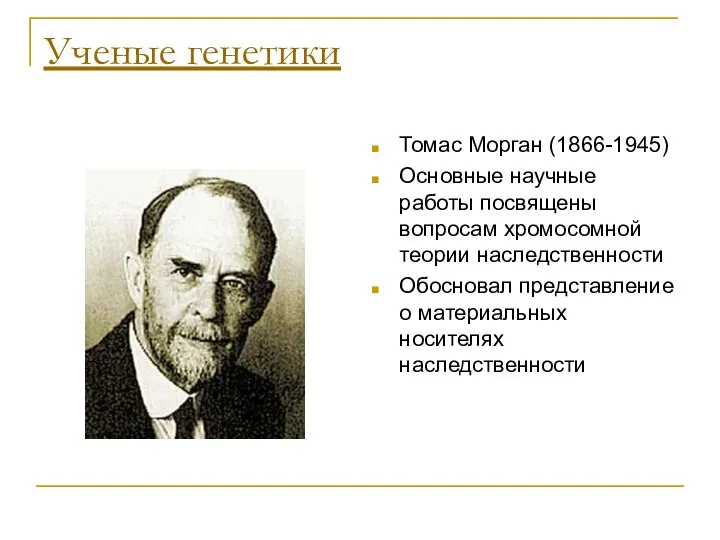 Ученые генетики Томас Морган (1866-1945) Основные научные работы посвящены вопросам хромосомной теории