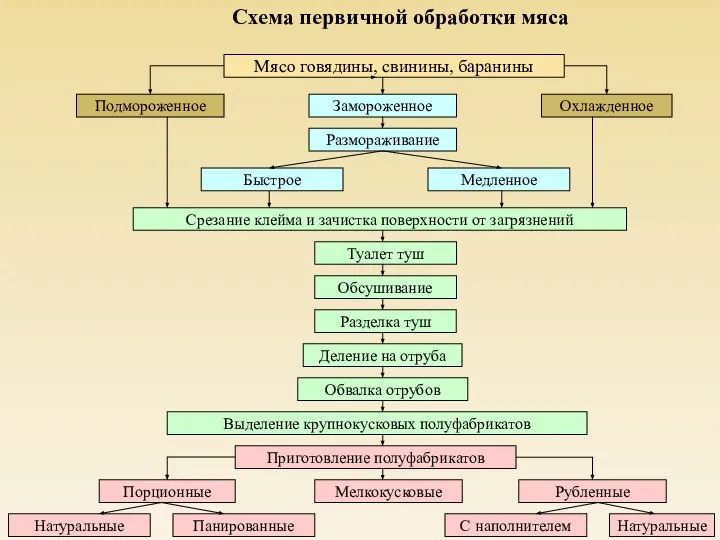 Схема первичной обработки мяса Мясо говядины, свинины, баранины Подмороженное Замороженное Охлажденное Размораживание