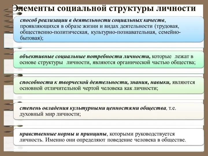 Элементы социальной структуры личности