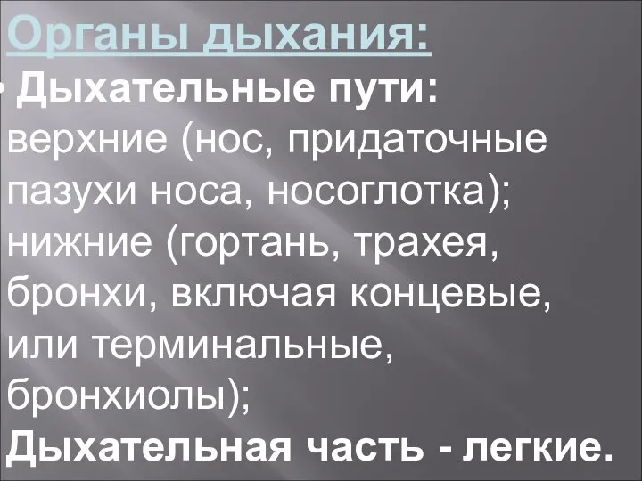 Органы дыхания: Дыхательные пути: верхние (нос, придаточные пазухи носа, носоглотка); нижние (гортань,