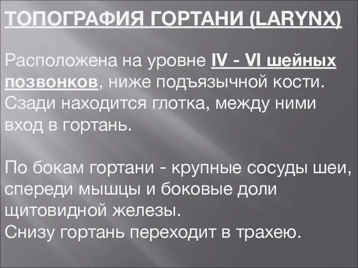 ТОПОГРАФИЯ ГОРТАНИ (LARYNX) Расположена на уровне IV - VI шейных позвонков, ниже