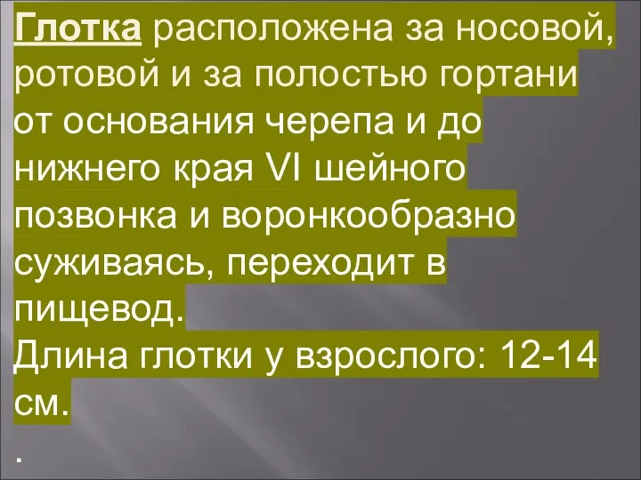 Глотка расположена за носовой, ротовой и за полостью гортани от основания черепа